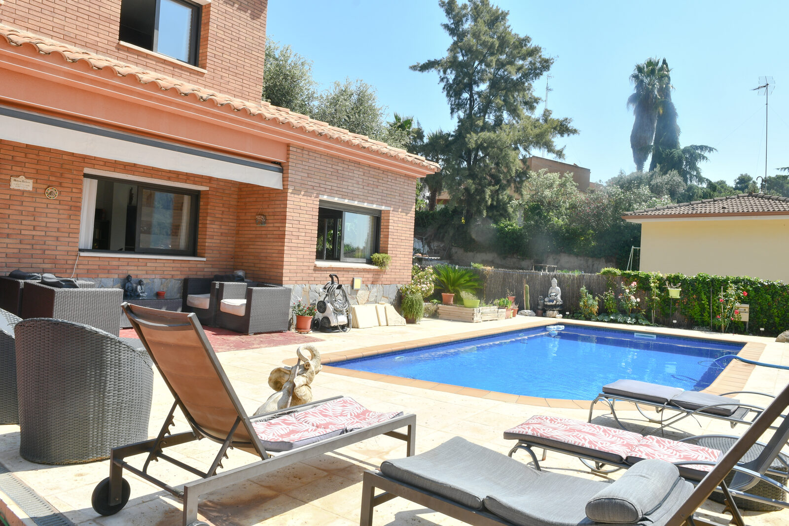 Piscina y terraza